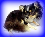 Small #4 Breeder Profile image
