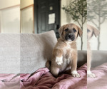 Small #3 Breeder Profile image