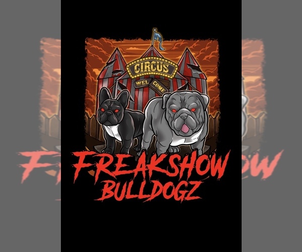 Medium Photo #1  Breeder Profile in CHANNELVIEW, TX, USA