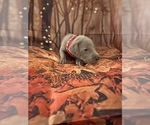 Small #7 Breeder Profile image