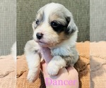 Small #11 Breeder Profile image