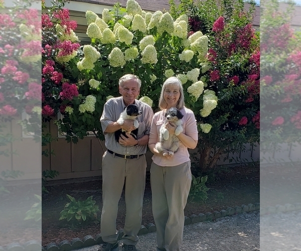 Medium Photo #11  Breeder Profile in HUNTSVILLE, AL, USA