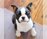 Small breeder photo