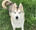 Small #10 Breeder Profile image