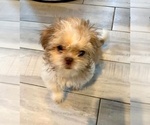 Small #1 Breeder Profile image