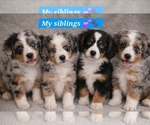 Small #28 Breeder Profile image