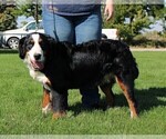 Small #3 Breeder Profile image