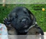 Small #17 Breeder Profile image
