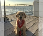 Small #12 Breeder Profile image