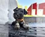 Small #5 Breeder Profile image
