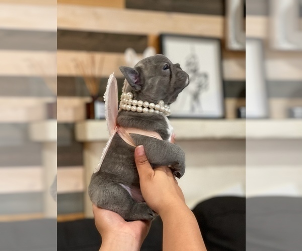 Medium Photo #1  Breeder Profile in ESCONDIDO, CA, USA