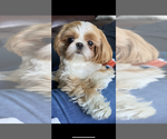 Small #10 Breeder Profile image