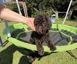 Small #1 Breeder Profile image