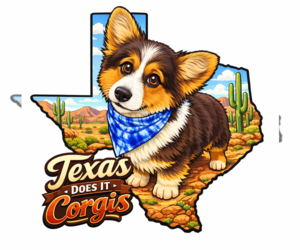 Pembroke Welsh Corgi Dog Breeder near BAYTOWN, TX, USA