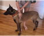 Small #8 Breeder Profile image