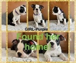 Small #8 Breeder Profile image