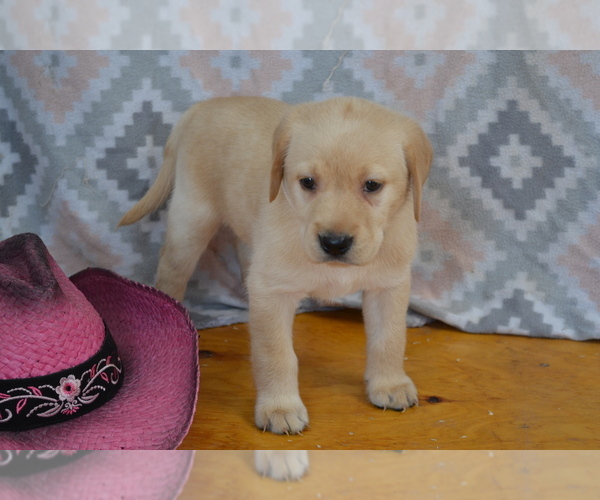 Medium Photo #9  Breeder Profile in OWEN, WI, USA