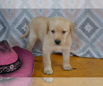 Small #8 Breeder Profile image