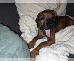 Small #8 Breeder Profile image