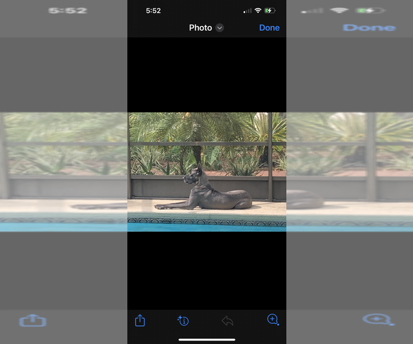 Medium Photo #1  Breeder Profile in PALATKA, FL, USA