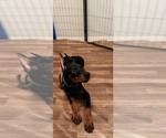 Small #10 Breeder Profile image