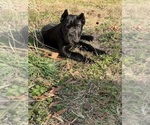 Small #3 Breeder Profile image