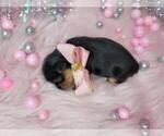 Small #31 Breeder Profile image