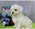 Small #10 Breeder Profile image