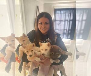 Medium Breeder Profile Photo