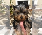 Small #7 Breeder Profile image