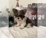 Small #2 Breeder Profile image