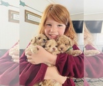 Small breeder photo