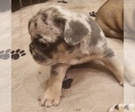 Small #28 Breeder Profile image