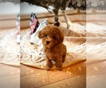Small #7 Breeder Profile image