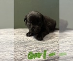 Small #4 Breeder Profile image