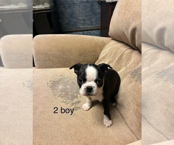 Medium Photo #2  Breeder Profile in KIEL, WI, USA