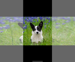 Small #6 Breeder Profile image