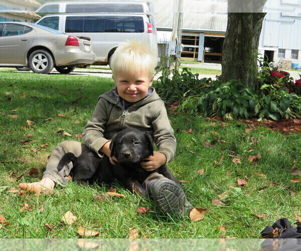 Medium Photo #2  Breeder Profile in LOUDONVILLE, OH, USA