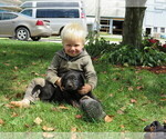 Small #1 Breeder Profile image