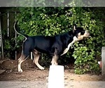 Small #24 Breeder Profile image