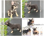 Small #2 Breeder Profile image