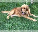 Small #76 Breeder Profile image
