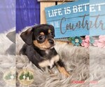 Small #89 Breeder Profile image