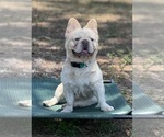 Small #6 Breeder Profile image