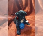 Small #13 Breeder Profile image