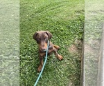 Small #2 Breeder Profile image