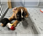 Small #2 Breeder Profile image
