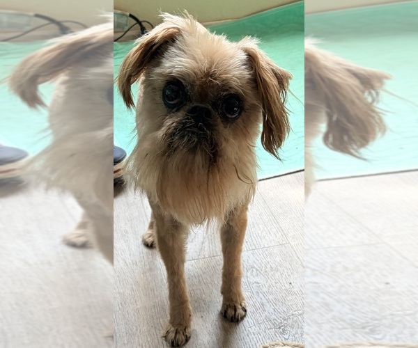 Medium Photo #8  Breeder Profile in SPRING BRANCH, TX, USA