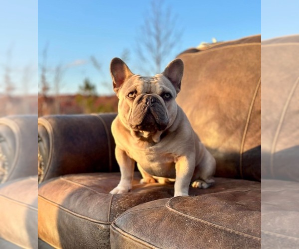 Medium Photo #2  Breeder Profile in LAKE CITY, FL, USA