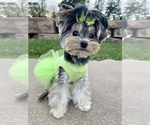 Small #7 Breeder Profile image